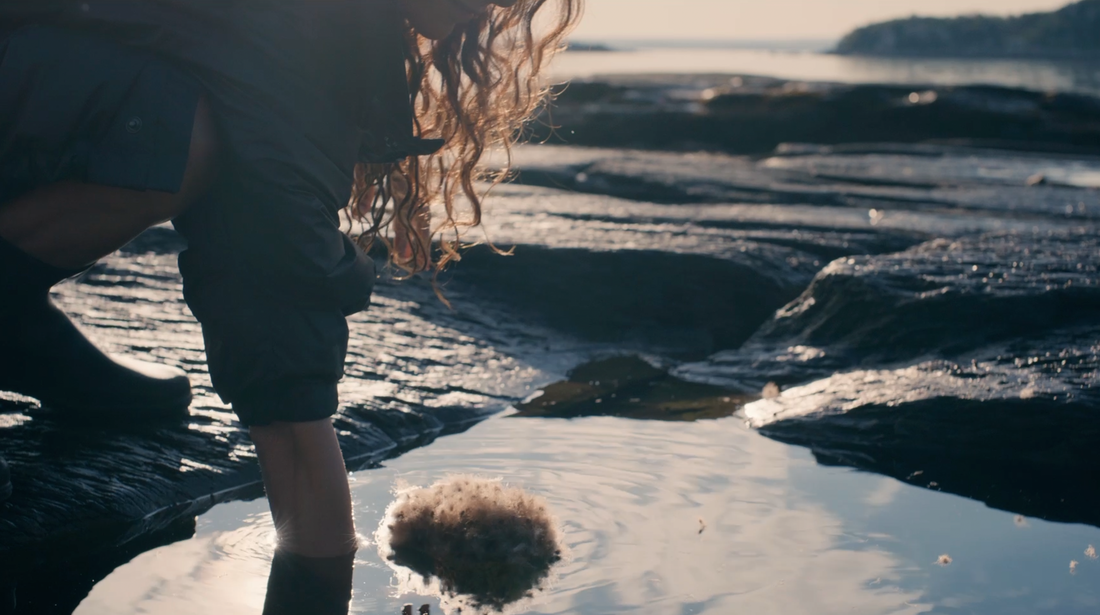 Why Eiderdown’s Hydrophobic Nature Makes It the Ultimate Cold-Weather Luxury