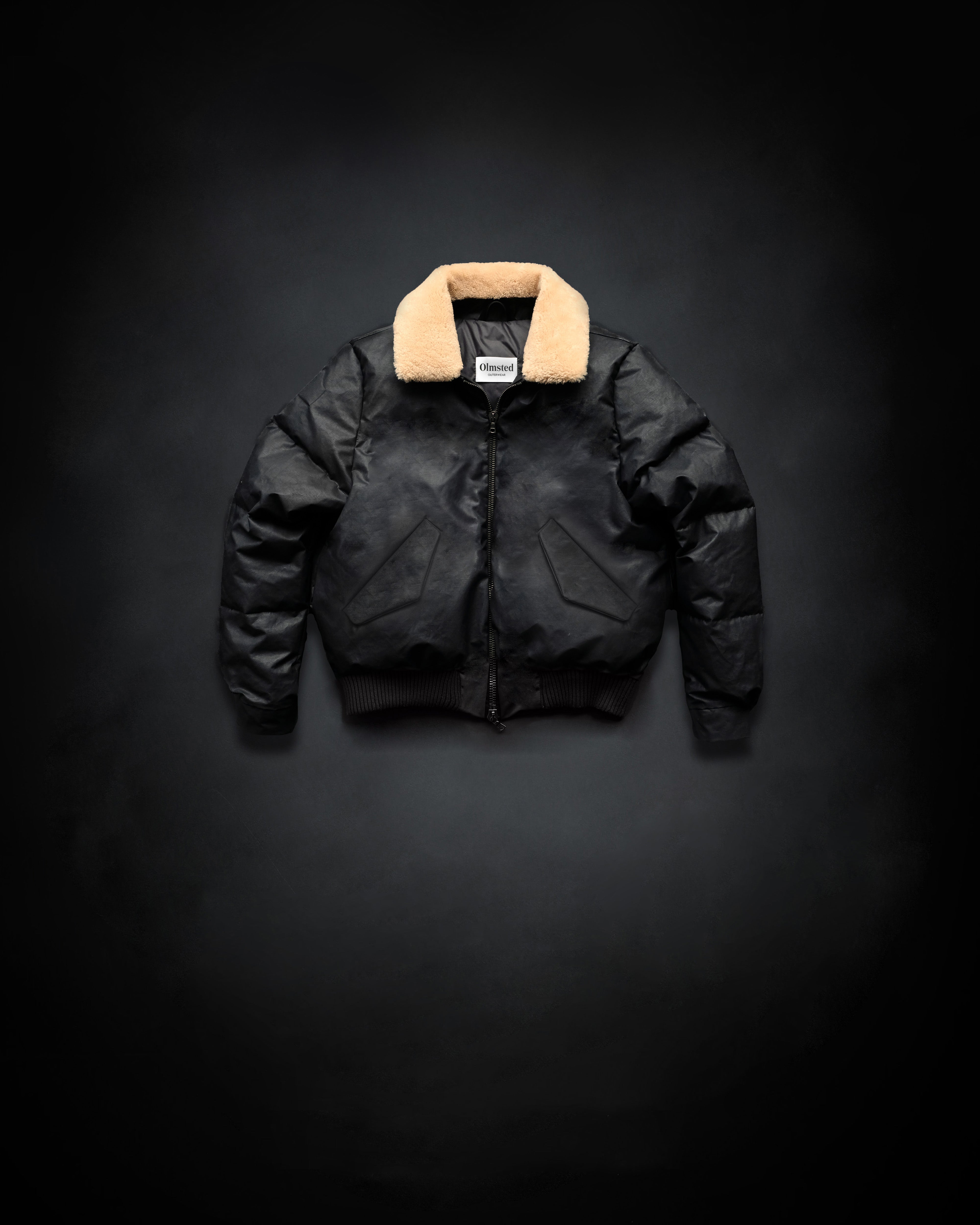 The Aviator