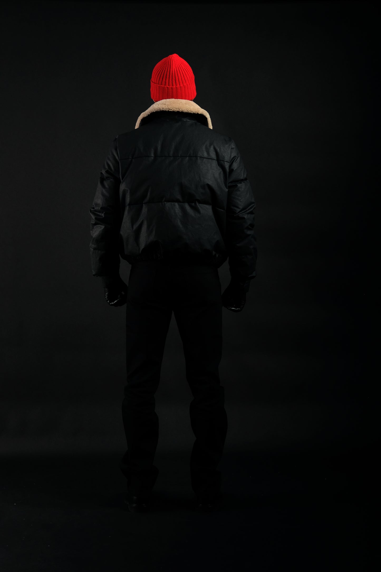 The Aviator