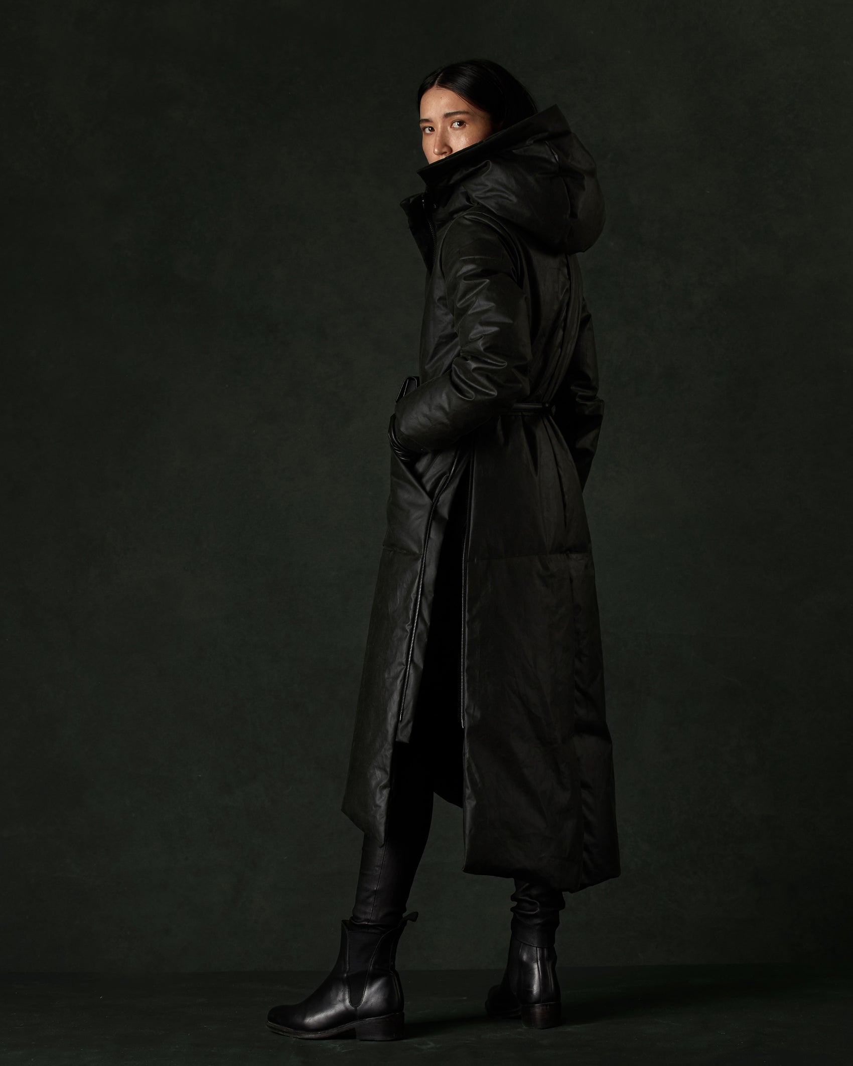 The Winter Dress